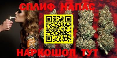 дурь Берёзовский