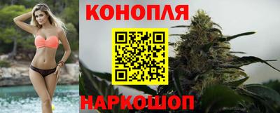 индика Бийск