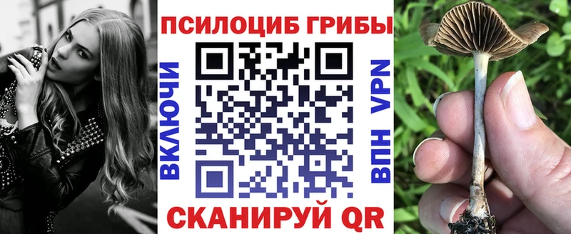 Псилоцибиновые грибы мухоморы  Воркута 