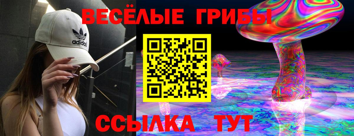 Галлюциногенные грибы GOLDEN TEACHER  Вход с VPN  Псилоцибиновые грибы мицелий  Воркута 